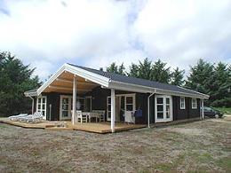 Sommerhus nr. 00919